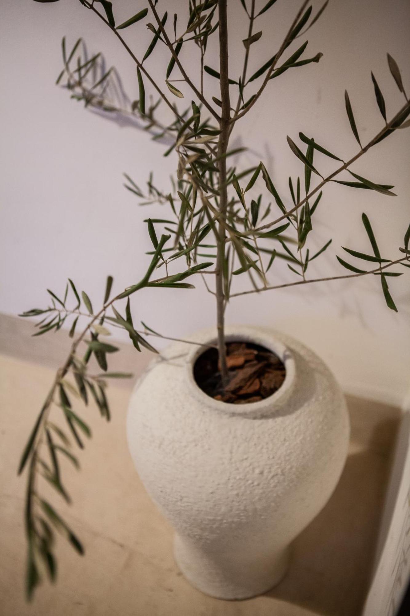 Cosy Riad Марракеш Экстерьер фото